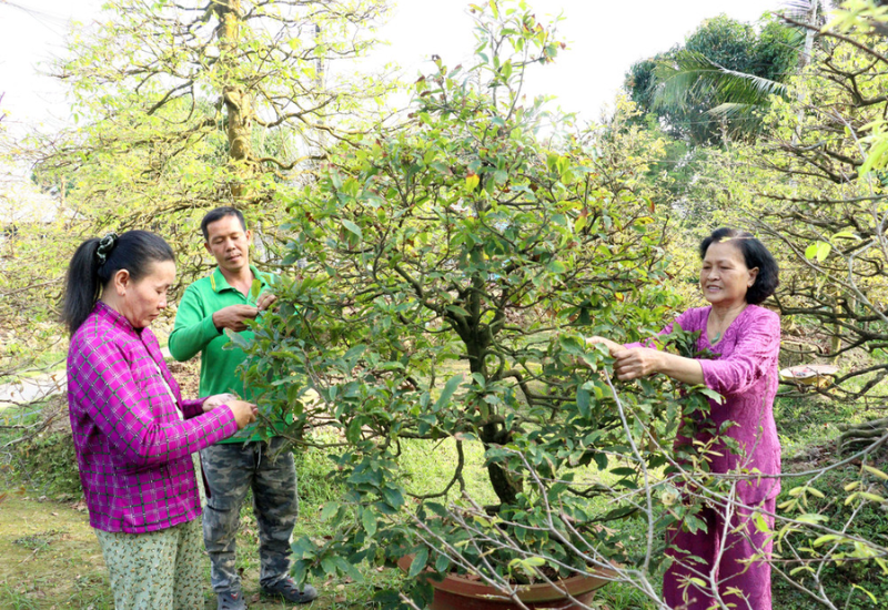 Trải nghiệm khi đến tham quan